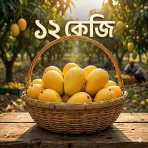 12-kg-gobindovog-mango