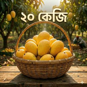 20-kg-gobindovog-mango