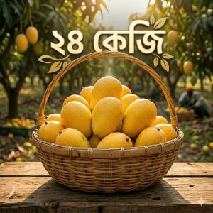24-kg-gobindovog-mango